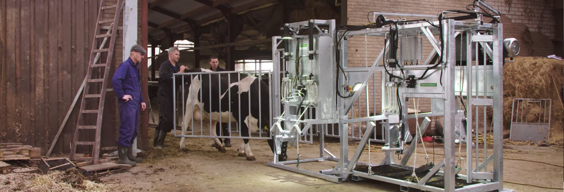 klauwbekapbox verwegen koe